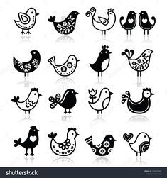 black and white birds with different designs