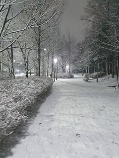 a snow covered path in the middle of a park at night