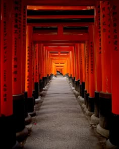 the walkway is lined with orange columns