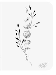 two drawings of flowers and leaves in black and white, one is drawn with ink