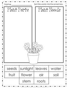 plant parts worksheet with flowers in the pot and words on it to help students learn