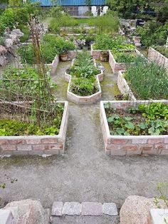 the garden is full of plants and rocks