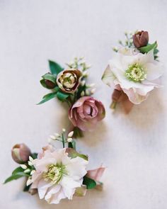 three flowers are arranged on a white surface