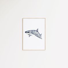 a painting of a shark in watercolor on a white wall with a wooden frame