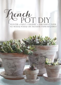 three potted plants sitting on top of a glass table next to each other with the words french and pot diy written above them