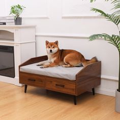 a dog laying on top of a wooden bed in front of a fire place with a potted plant next to it