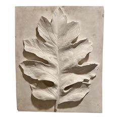 a leaf is shown on the wall in this white photo, it appears to be made out of plaster