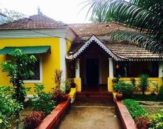 a yellow and white house surrounded by greenery