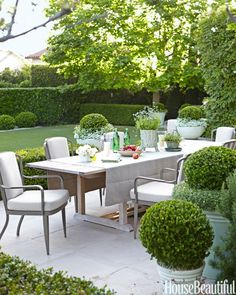 an outdoor dining table surrounded by potted plants