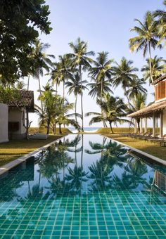 an empty swimming pool surrounded by palm trees