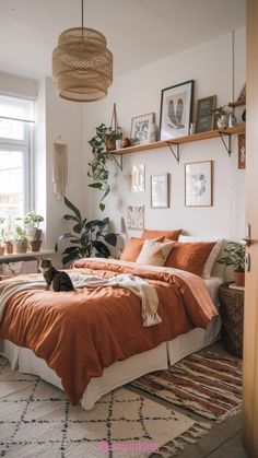 a bed with orange sheets and pillows in a bedroom next to a plant filled wall