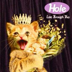 an image of a cat with a crown on it's head and flowers in its mouth