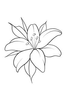 a flower that is drawn in black and white with the outlines to be colored