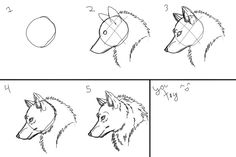 how to draw a wolf's head step by step