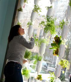 a woman standing in front of a window filled with plants