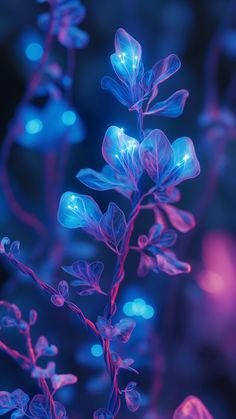 purple flowers with blue lights in the background