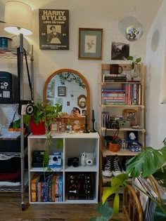 a living room filled with lots of furniture and plants on top of shelves next to a mirror