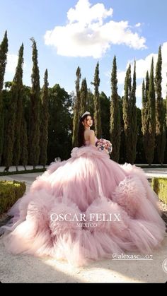 Quince Poses Photo Shoots, Filipino Debut, 15 Birthday Dresses, Quinceañera Photoshoot Ideas, Quince Photoshoot Ideas, Sweet 15 Party Ideas