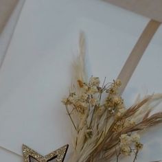 there is a star decoration on the wall next to some dried flowers and ribbon tied around it