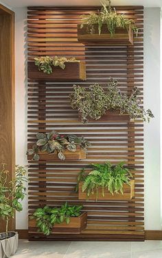 a wall mounted planter filled with lots of green plants