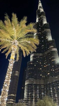 the burj building is lit up at night with lights on it and a palm tree in front