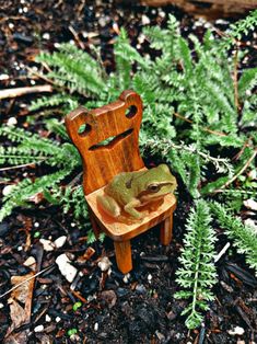 a frog sitting on top of a wooden chair next to a green leafy plant