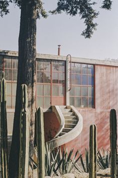 a building with a spiral staircase next to cactus trees