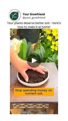 739 reactions · 196 shares | Follow @your_growfriend for more amazing plant care tips and tricks!🌿

Save money, reduce waste, and grow healthier plants with homemade nutrient-rich soil! 🌱💚

📽 gardening.tipss

#growfriend #composting #gardeningtips #sustainableliving #growyourown #plantcare #homesteading #gardenhacks #ecofriendly #diygardening #organicgardening | GROWFRIEND 🌿 Hanging Plants Outdoor, Miracle Grow, Garden Hacks, Plants Outdoor, Skin Tags