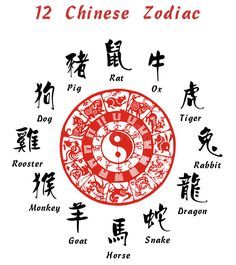 the twelve zodiac signs in chinese calligraphy