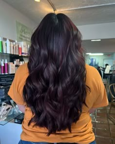 35+ Gorgeous Ideas For Black Cherry Plum Hair Color [2024] Wine Color Highlights On Black Hair, Ion Black Cherry Hair Color, Dark Plum Brown Hair Color, Plum Highlights On Black Hair, Deep Cherry Black Hair, Black Hair Change Ideas, Black Wine Hair, Cherry Black Hair Color Curly