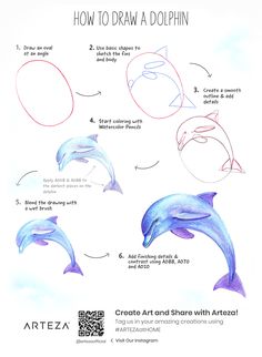 how to draw a dolphin step by step drawing instructions for kids and adults with pictures