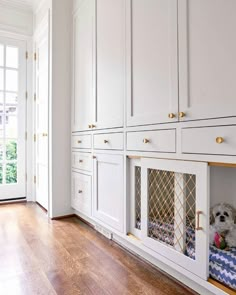 a dog is sitting in its bed under the cabinets