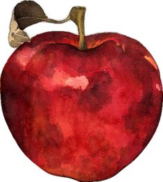 an apple painted with watercolors and ink on paper, it looks like something from the movie star trek