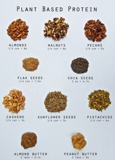 Plant Based Proteins, Potatoes Stuffed, Protein Options, Mexican Quinoa, Plant Based Diet Recipes, Vegan Nutrition, Nuts And Seeds, Plant Based Nutrition, Protein Recipes