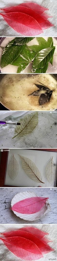 four different types of feathers are shown in this image, and there is only one feather left on the plate