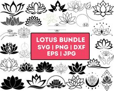 lotus bundle svg, dxf and png files for use in design projects