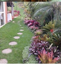 a garden with lots of plants and stones on the ground in front of a house