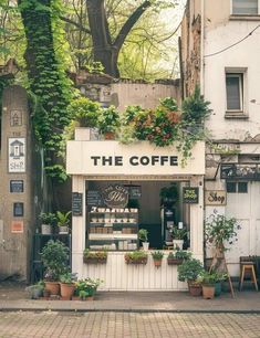 a coffee shop with potted plants on the outside