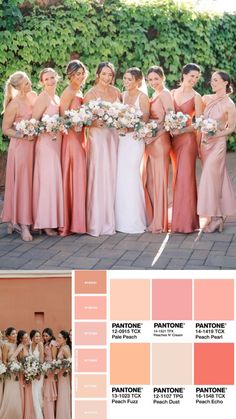 the bridesmaids are all in different colors