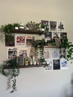 the wall is covered with various plants and pictures on it's shelves, along with some potted plants