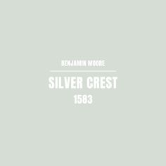 Silver Crest (1583) Benjamin Moore | Paint Color Review Easy Diy Home Projects, Blue Gray Paint, Colorful Kids Room, Bright Bathroom, Easy Halloween Decorations, Paint Colors Benjamin Moore, Blue Paint Colors