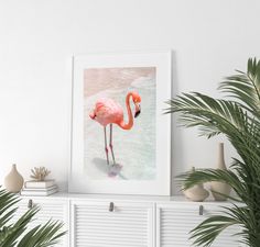 a pink flamingo standing on top of a white shelf next to a potted plant