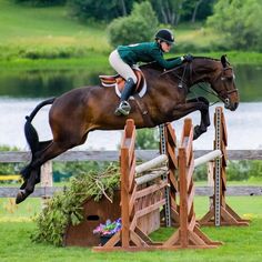 a person riding on the back of a brown horse jumping over an obstacle in front of a lake