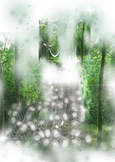 an abstract image of trees and grass in the woods