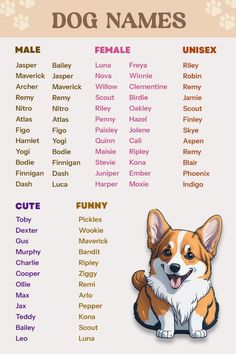 a dog name chart with the names of dogs