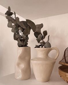 there are two vases with plants in them