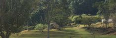 two horses grazing on grass in the middle of a wooded area with trees around them