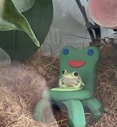 a frog sitting on top of a green chair next to a potted plant and hay