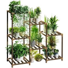 a shelf filled with lots of different types of potted plants on top of each other