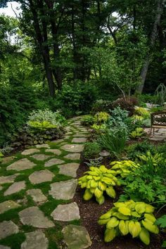 a stone path in the middle of a lush green forest